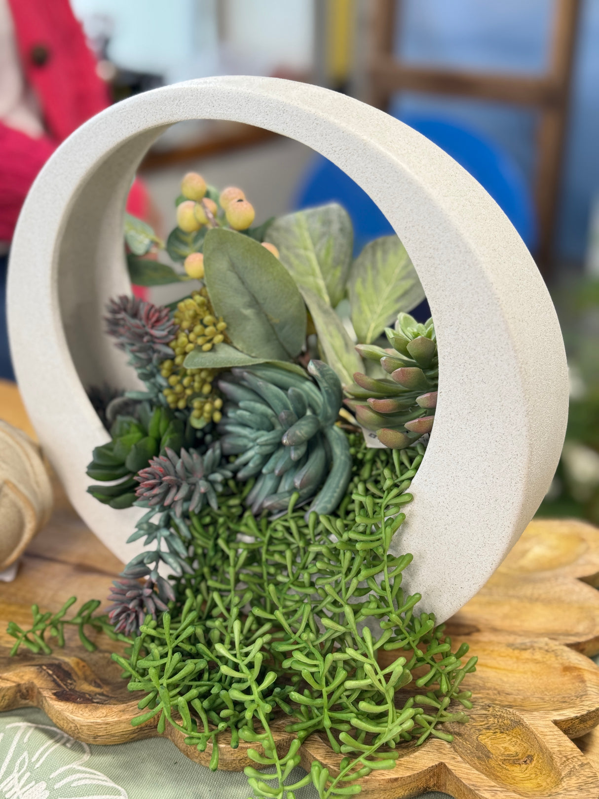 Sage & Burgundy Tear Leaf Succulent