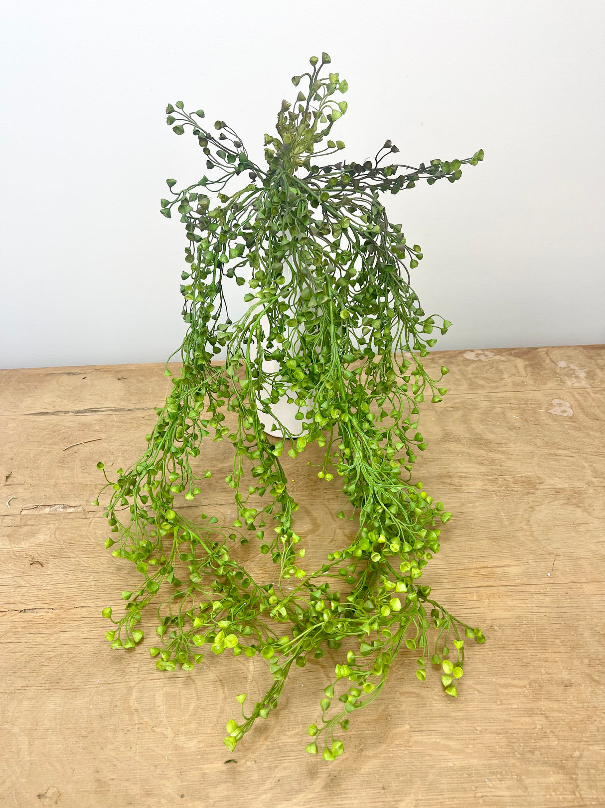 Trumpet Leaf Draping Spray