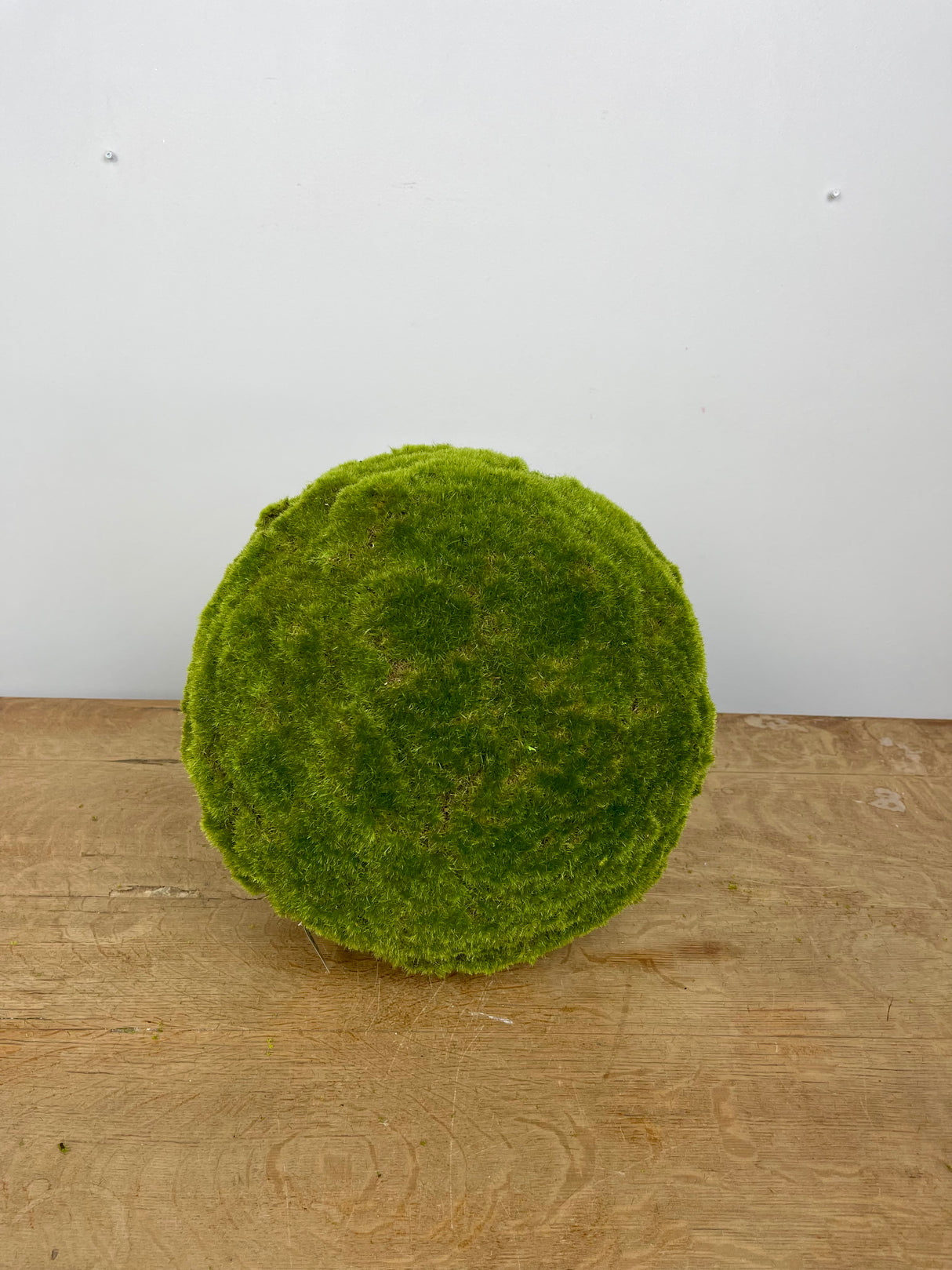 13" Moss Orb