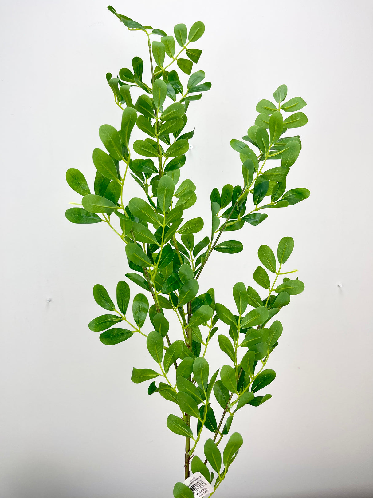 True Indigo Leaf Spray