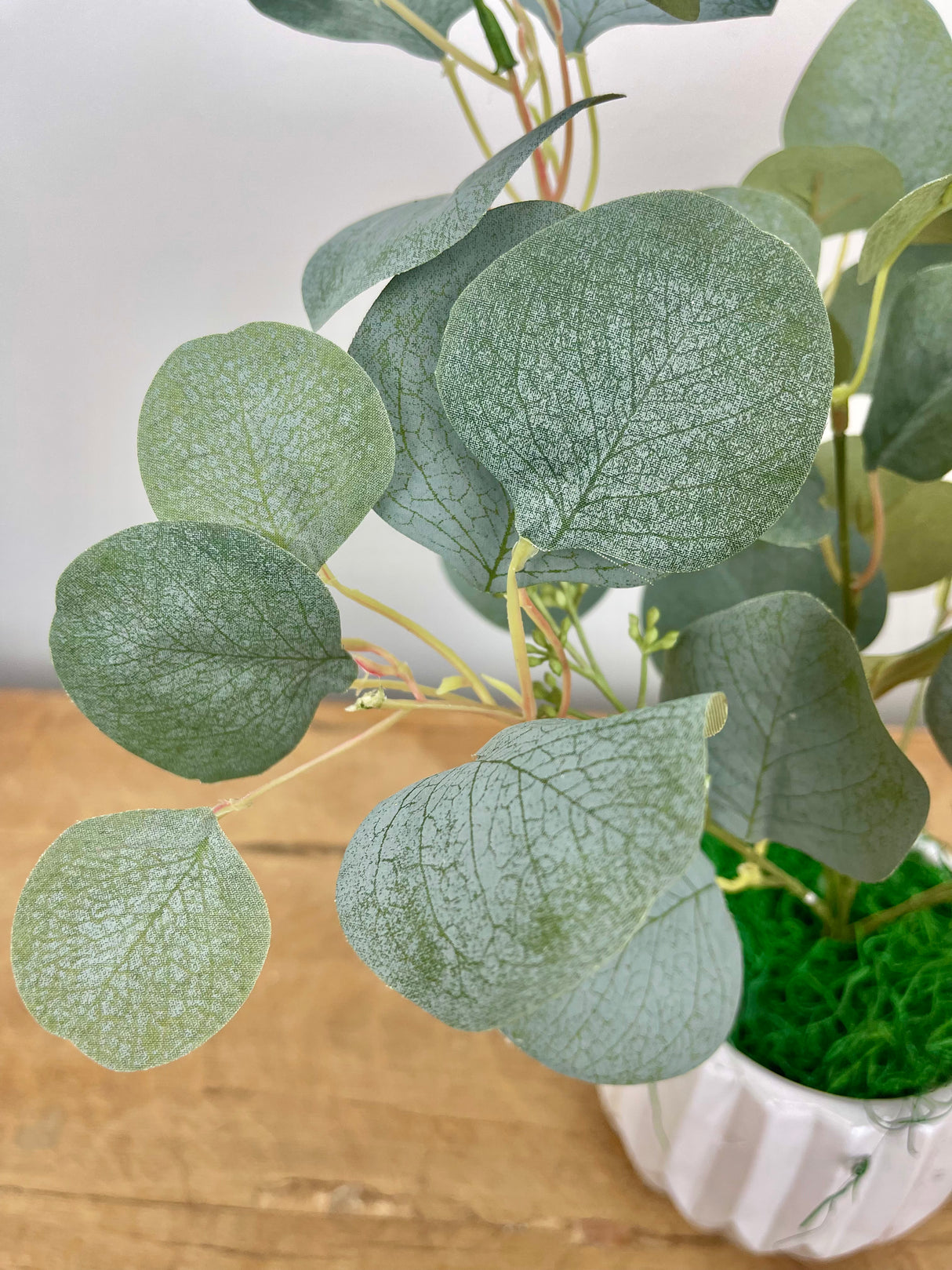 Green & Gray Eucalyptus Bush