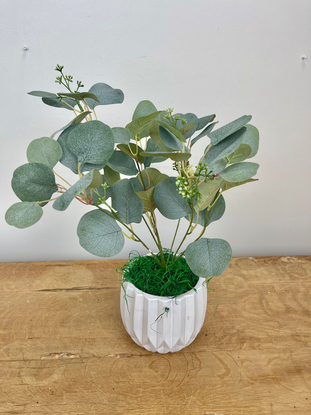 Green & Gray Eucalyptus Bush