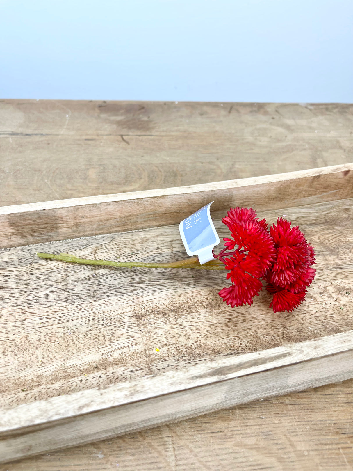 Red Sedum Succulent Pick