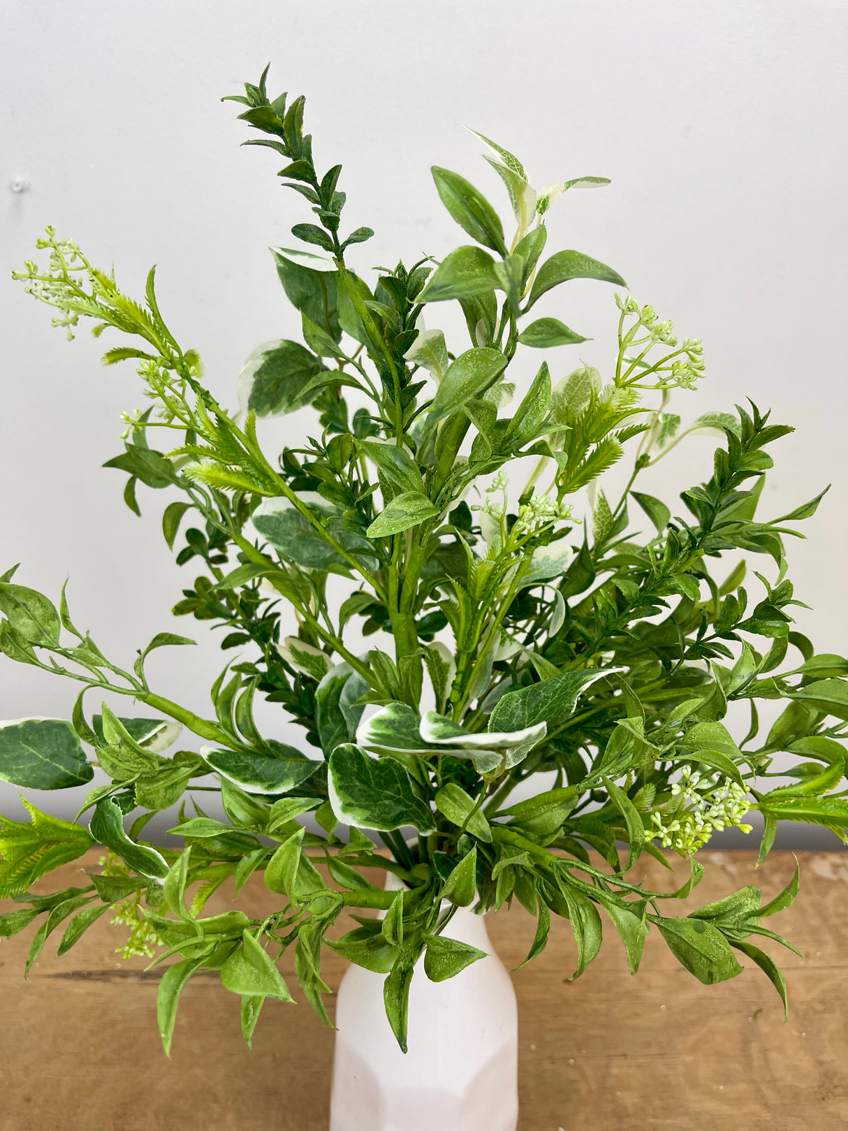 Blooming Foliage Bush