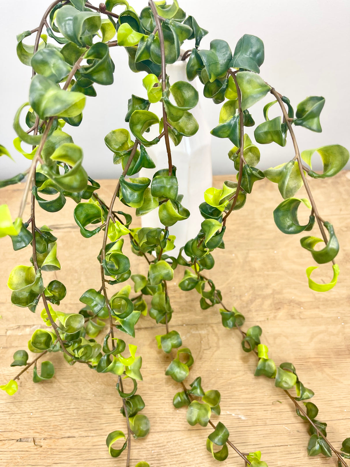 Curly Leaf Hanging Vine