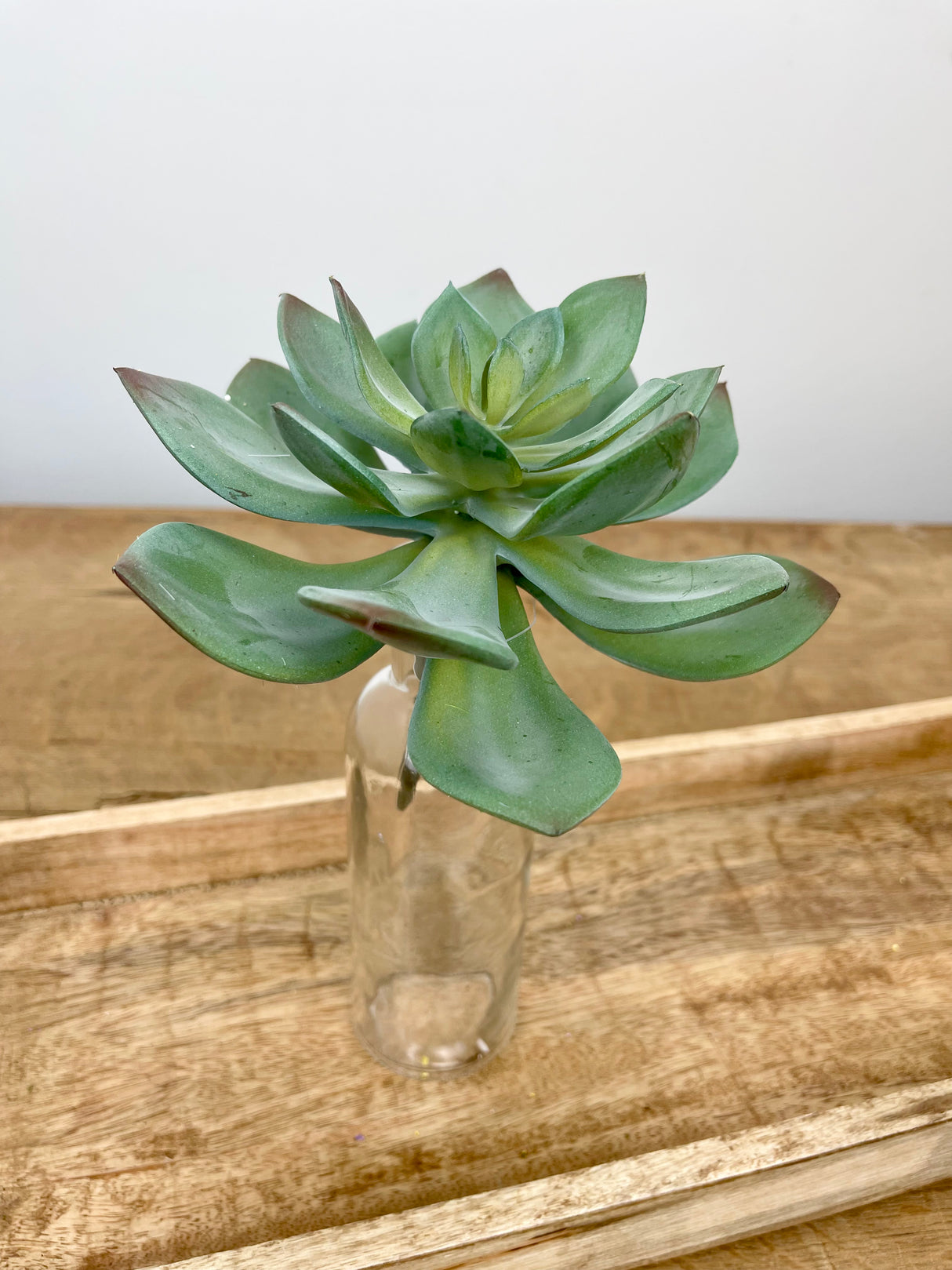 Large Echeveria Pick