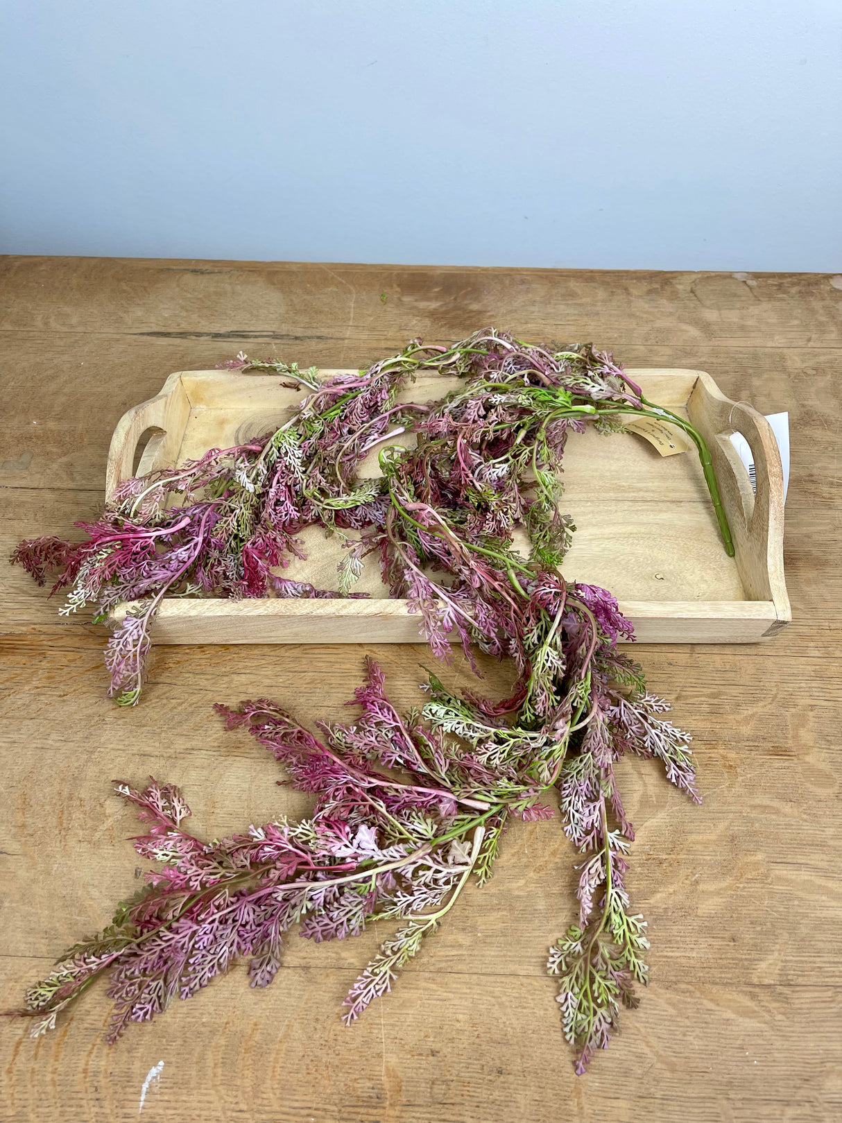 Pink Hanging Fern
