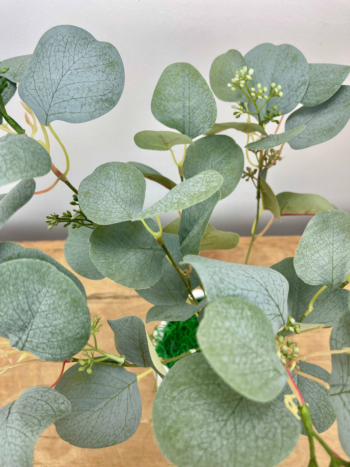 Green & Gray Eucalyptus Bush