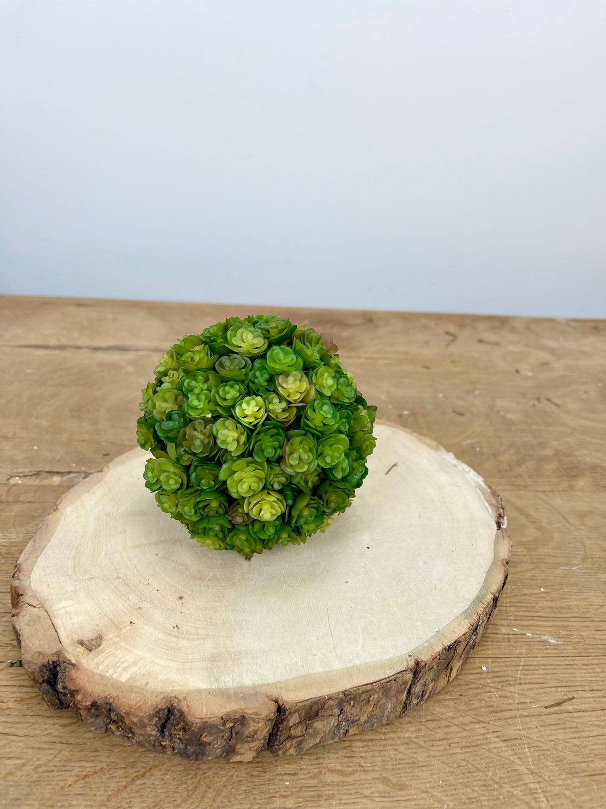 Deep Green Chick Succulent Orb