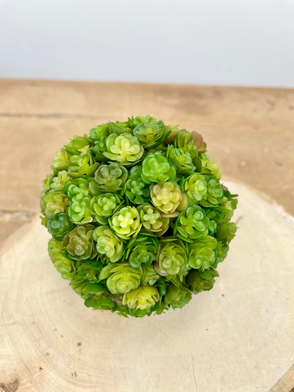 Deep Green Chick Succulent Orb