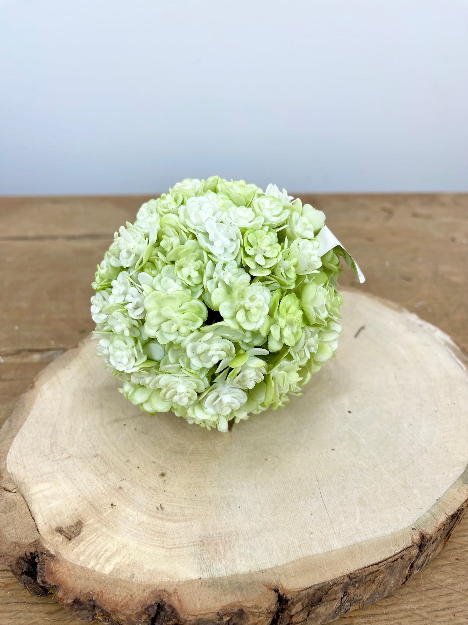 Light Green Chick Succulent Orb