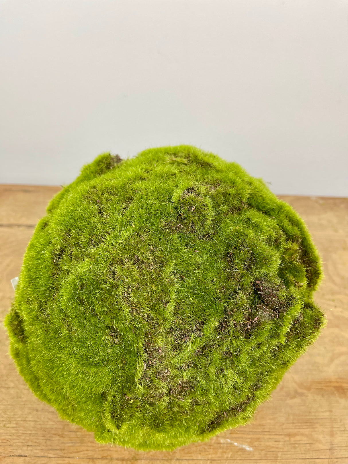 9" Moss Orb