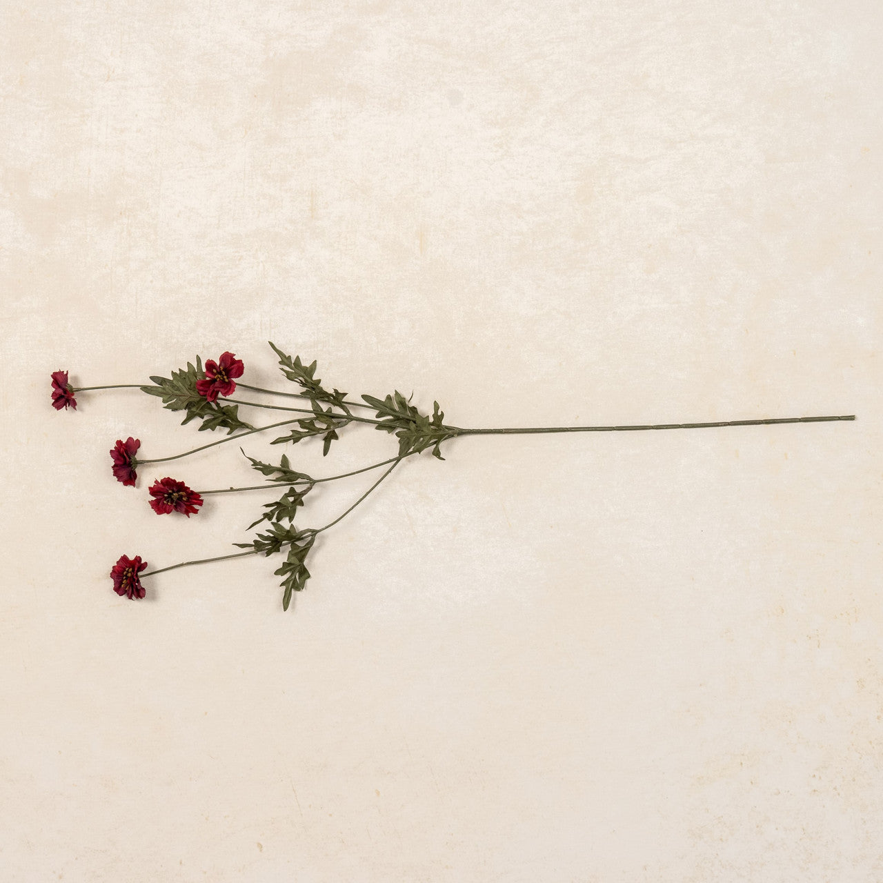 Burgundy Coreopsis Spray