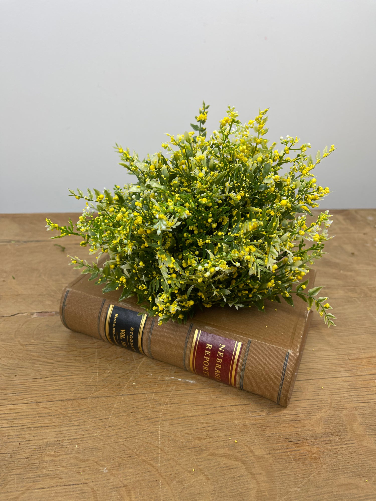Yellow Tip Mixed Fern Dome