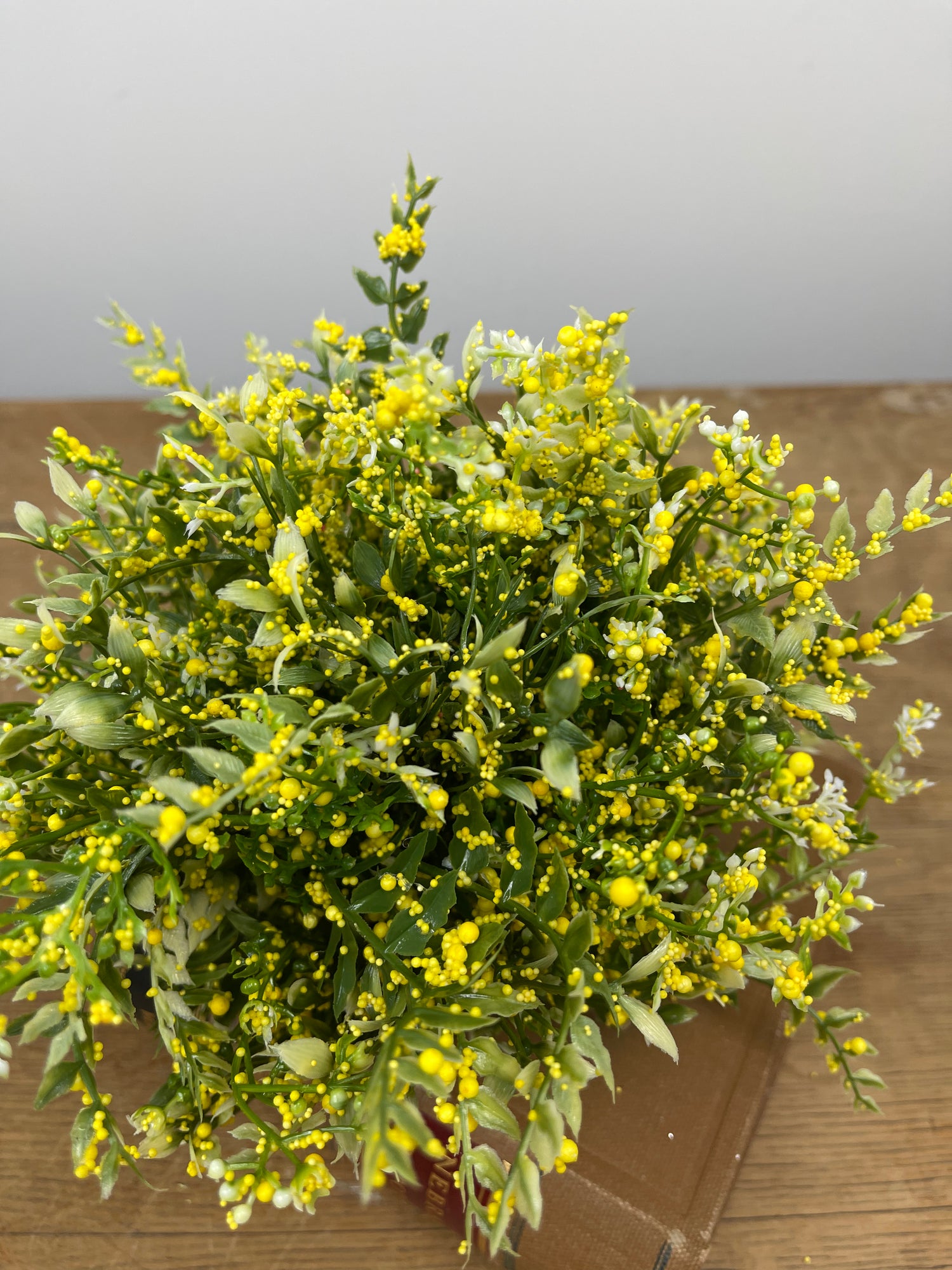 Yellow Tip Mixed Fern Dome