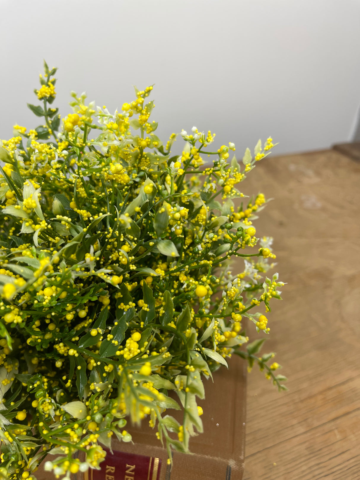 Yellow Tip Mixed Fern Dome