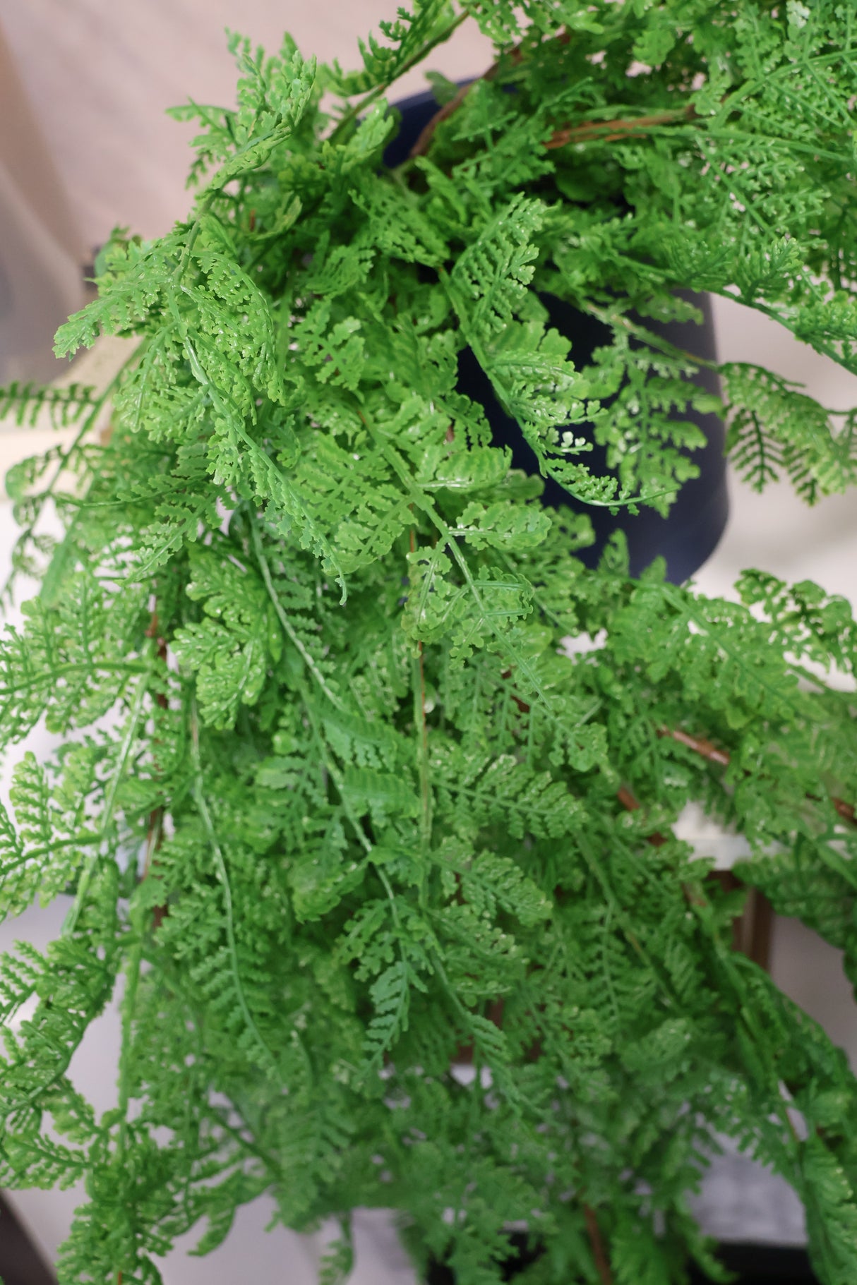 Real Touch Leather Fern Hanging Bush