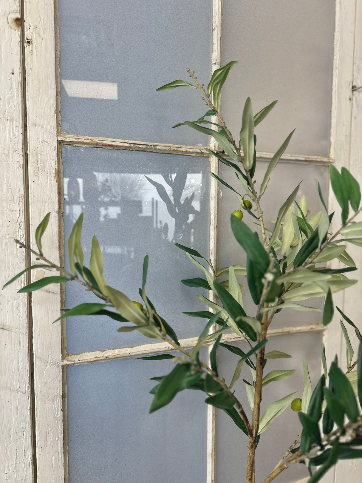 47" Potted Olive Tree