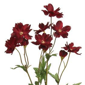 Burgundy Mini Cosmos Spray