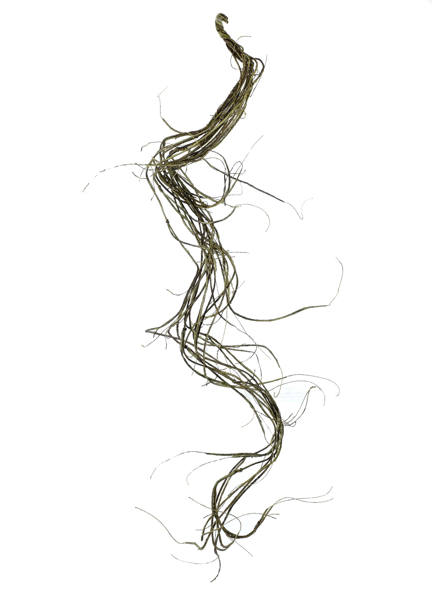 60" Wrapped Twig Bendy Vine