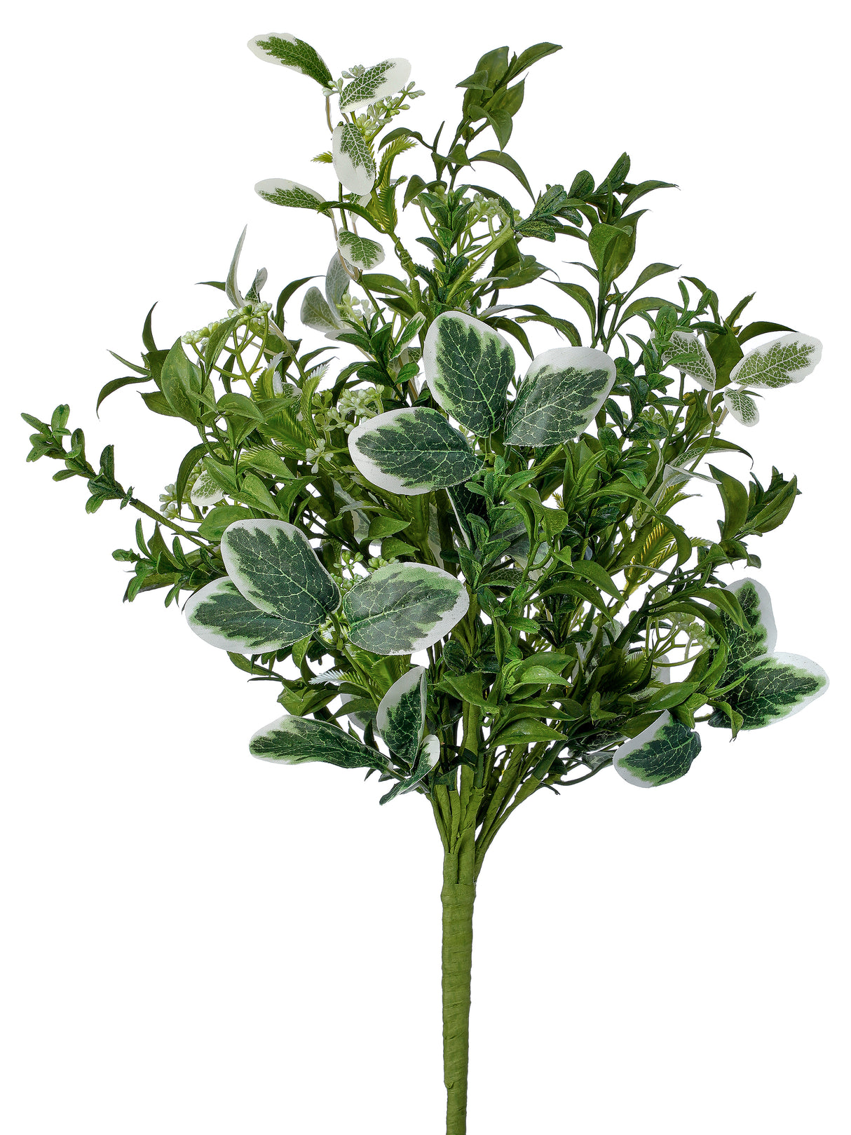 Blooming Foliage Bush