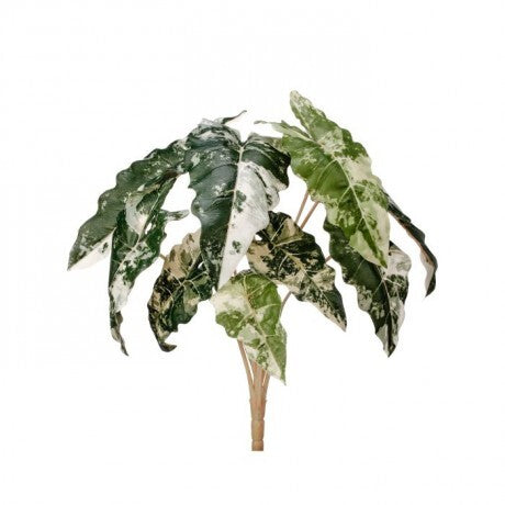 Real Touch Marbled Alocasia Plant