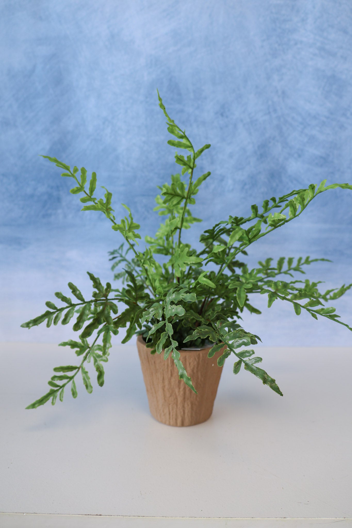 Real Touch Potted Fern Silk Plant
