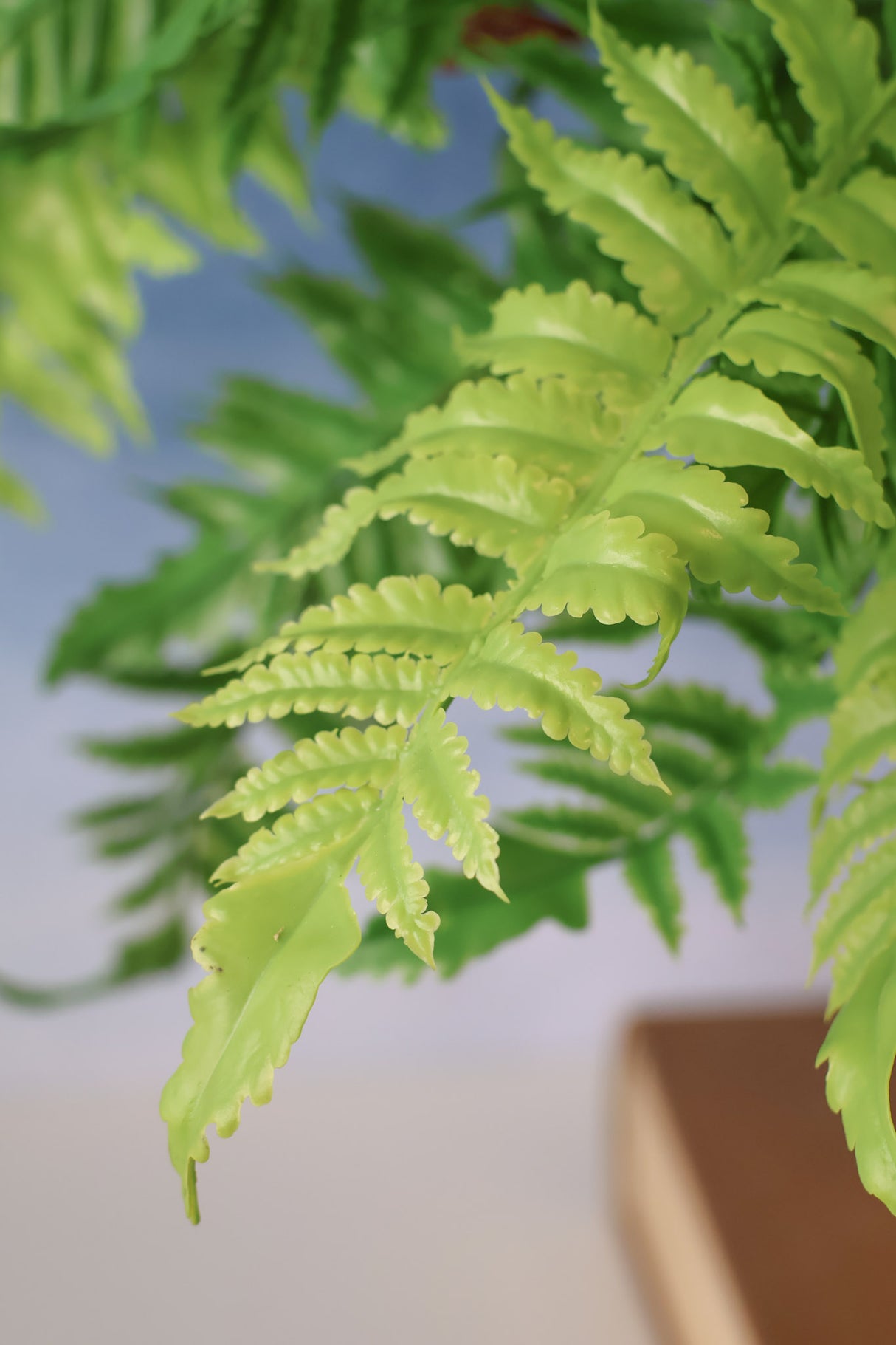 Real Touch Boston Fern Bush