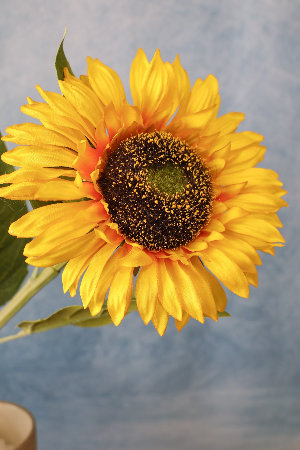 Sunshine Sunflower Stem