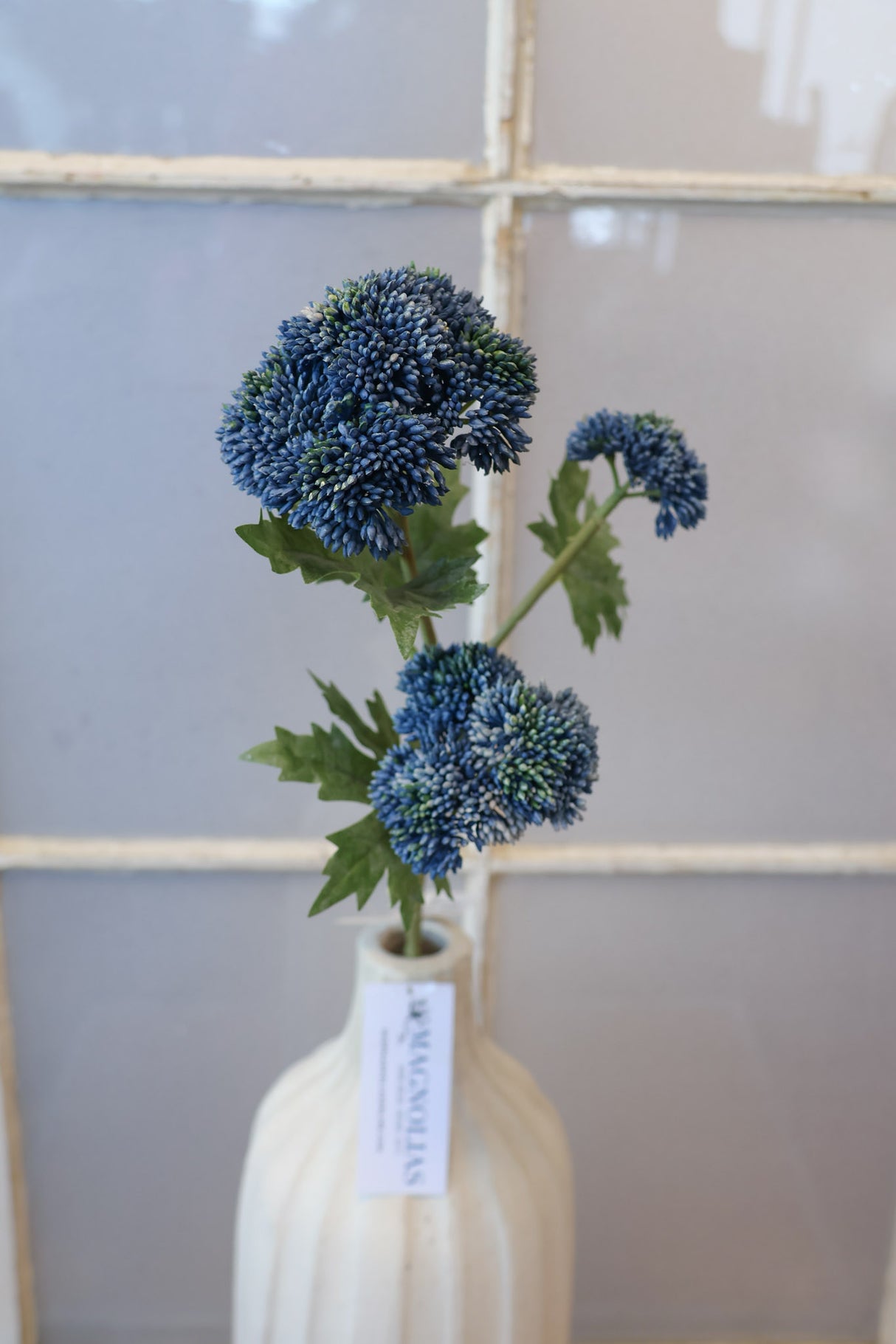Wickford Blue Sedum Spray