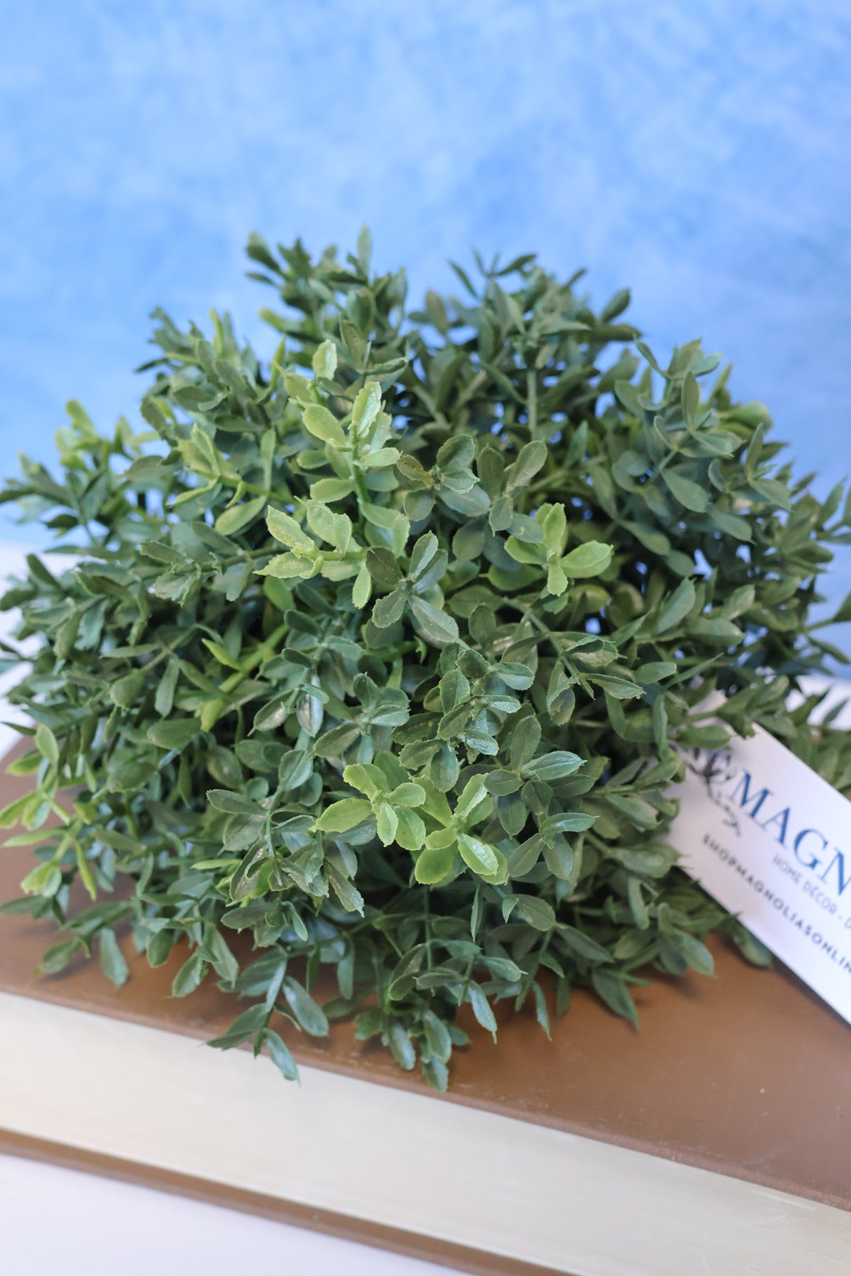 New England Boxwood Half Sphere