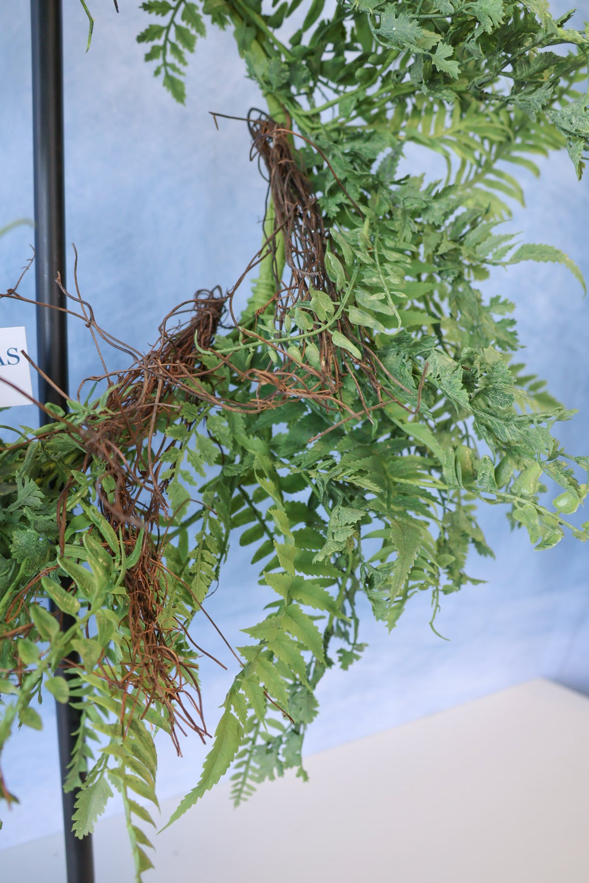 24" Full Fern Wreath