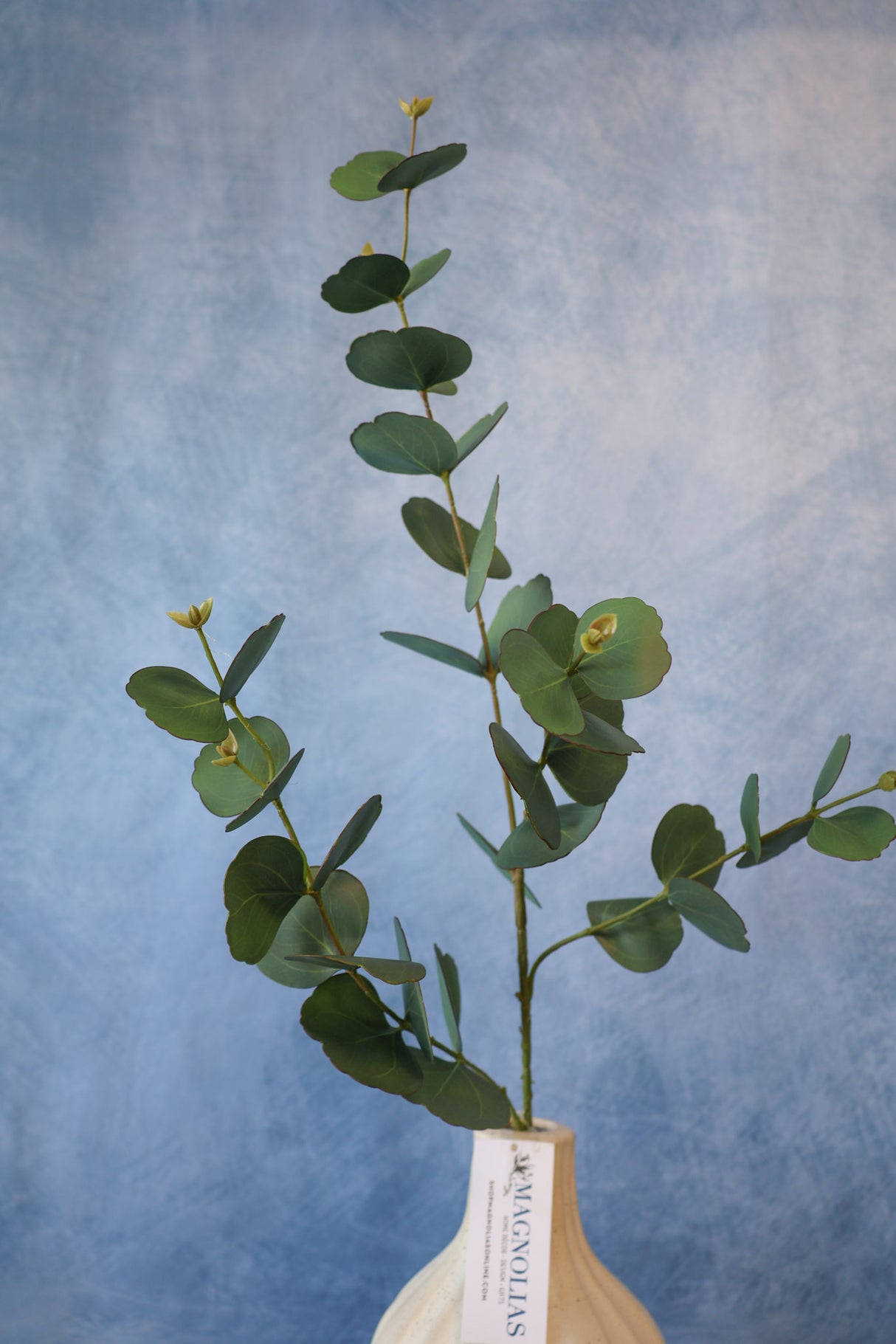 Symphony Eucalyptus Spray