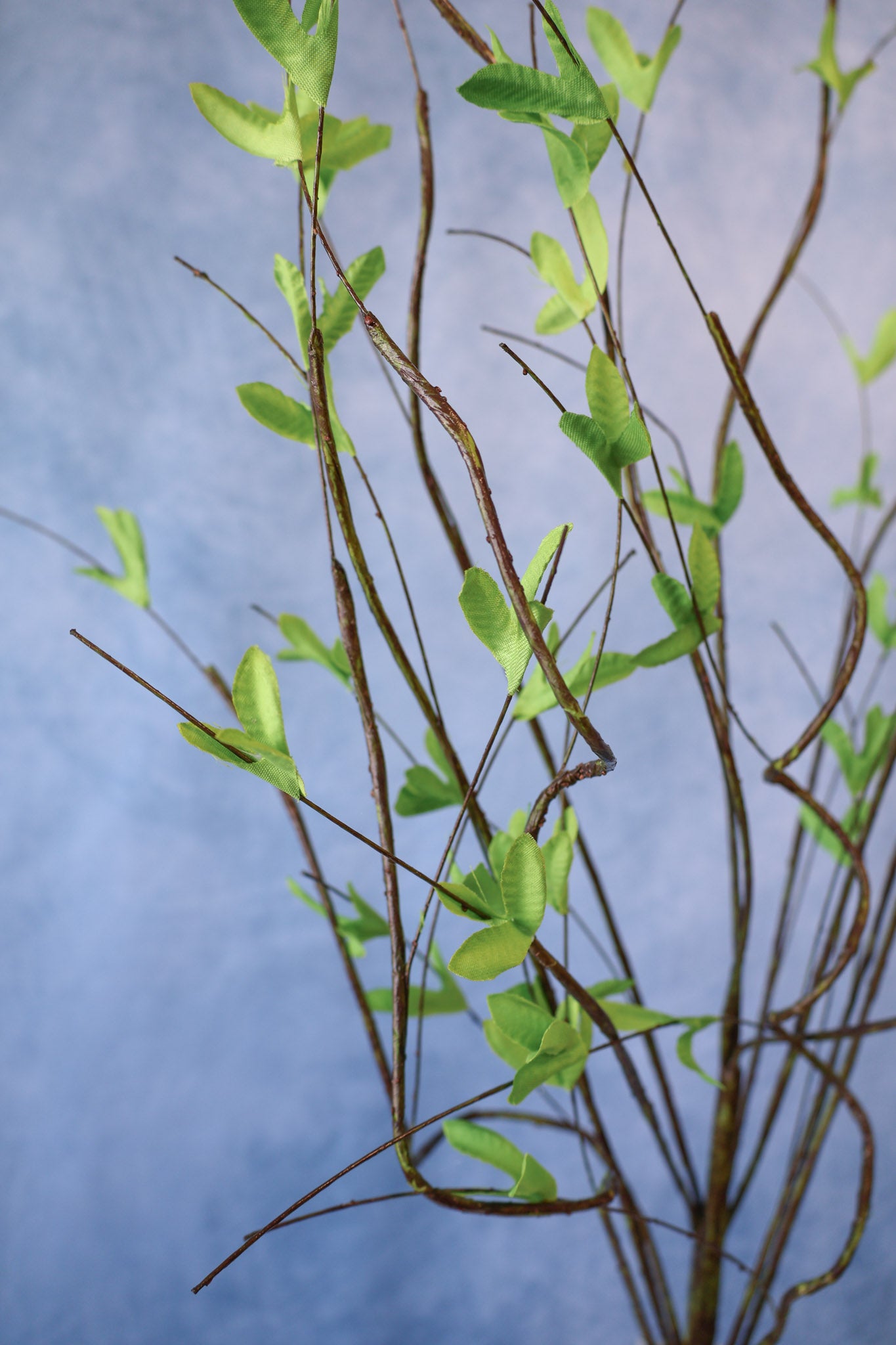 Full Life Willow Branch
