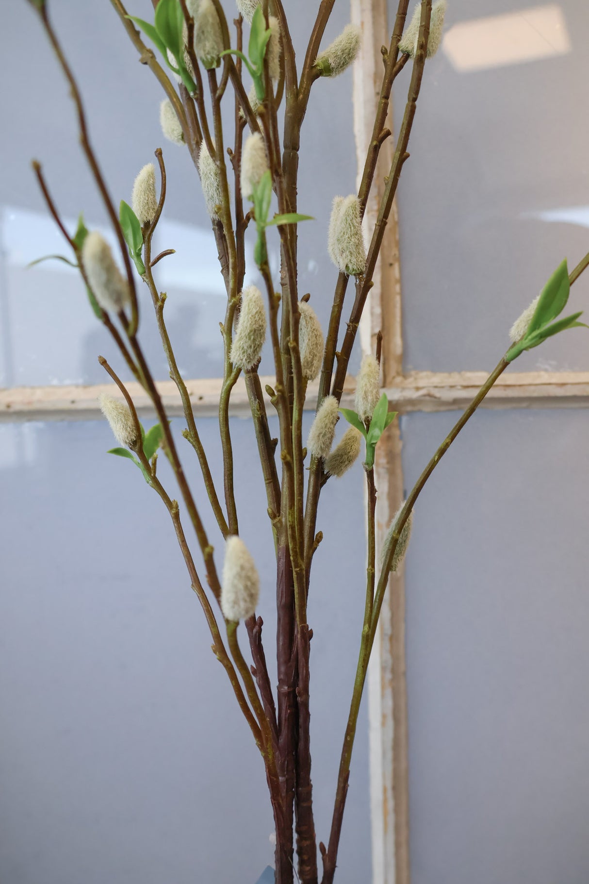 Jumbo Finding Beauty Willow Stem