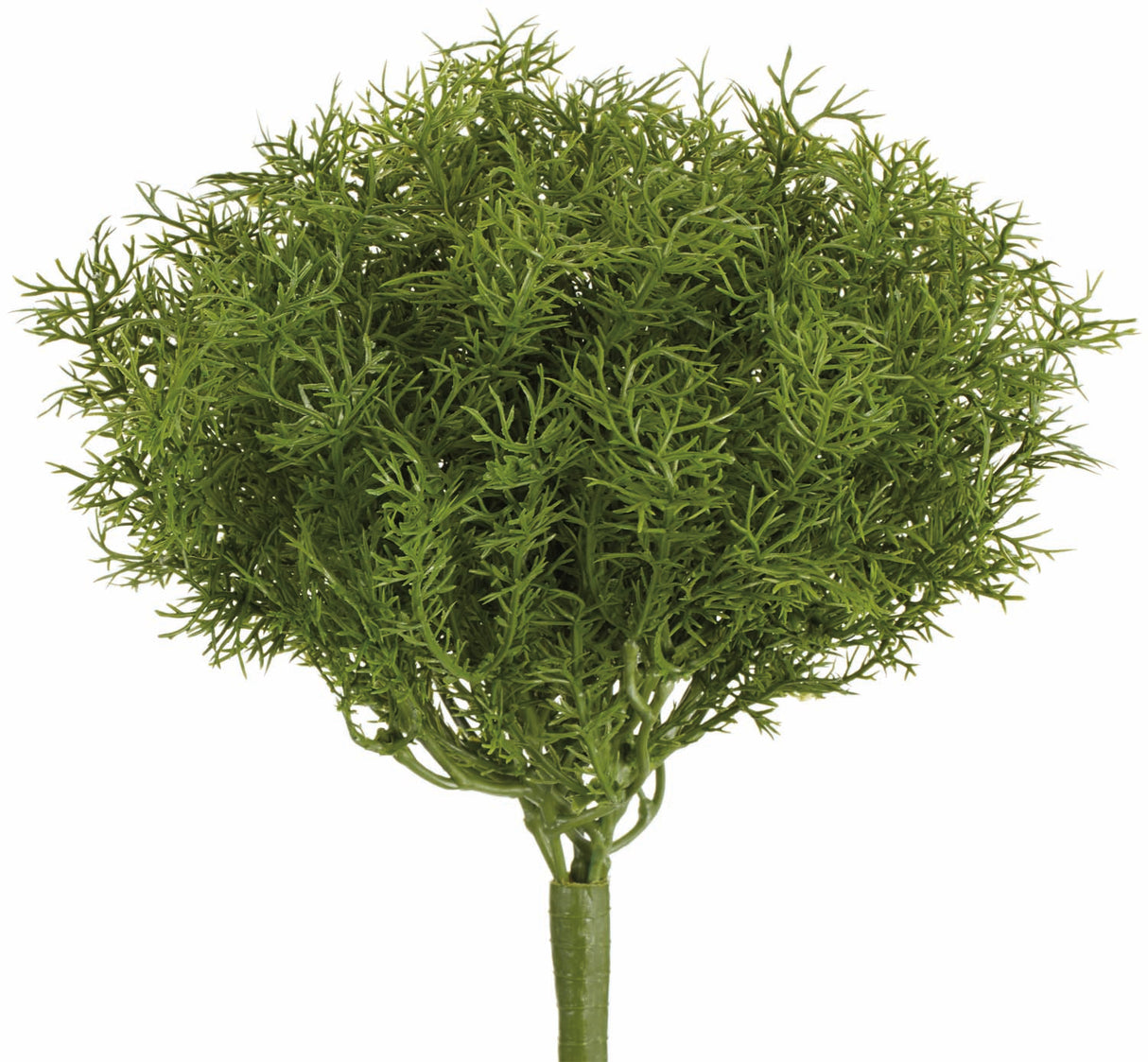 Real Touch Sprengeri Bush