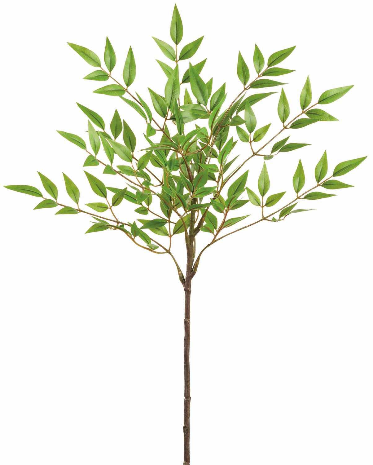 Natural Nandina Spray