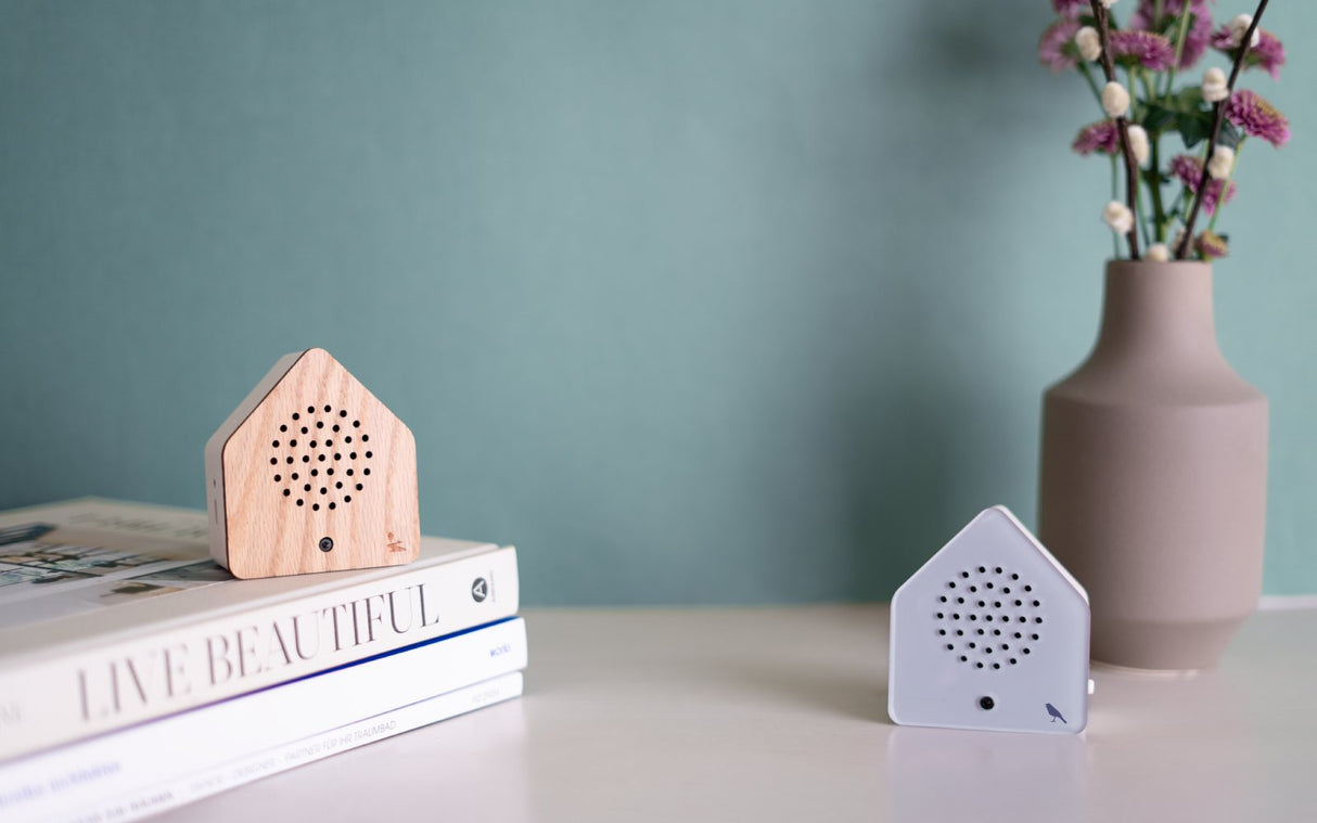 Forest Brook Small Sound Box