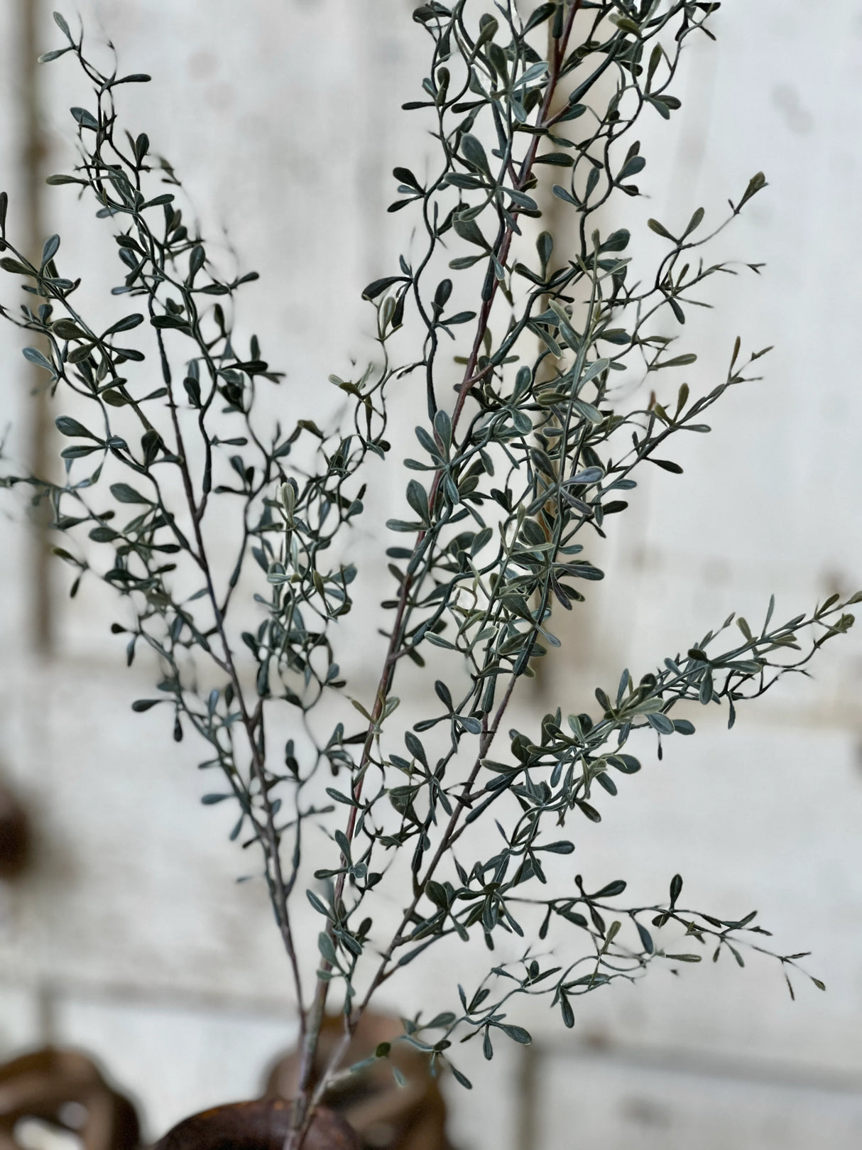 Green Lacewing Leaves Spray