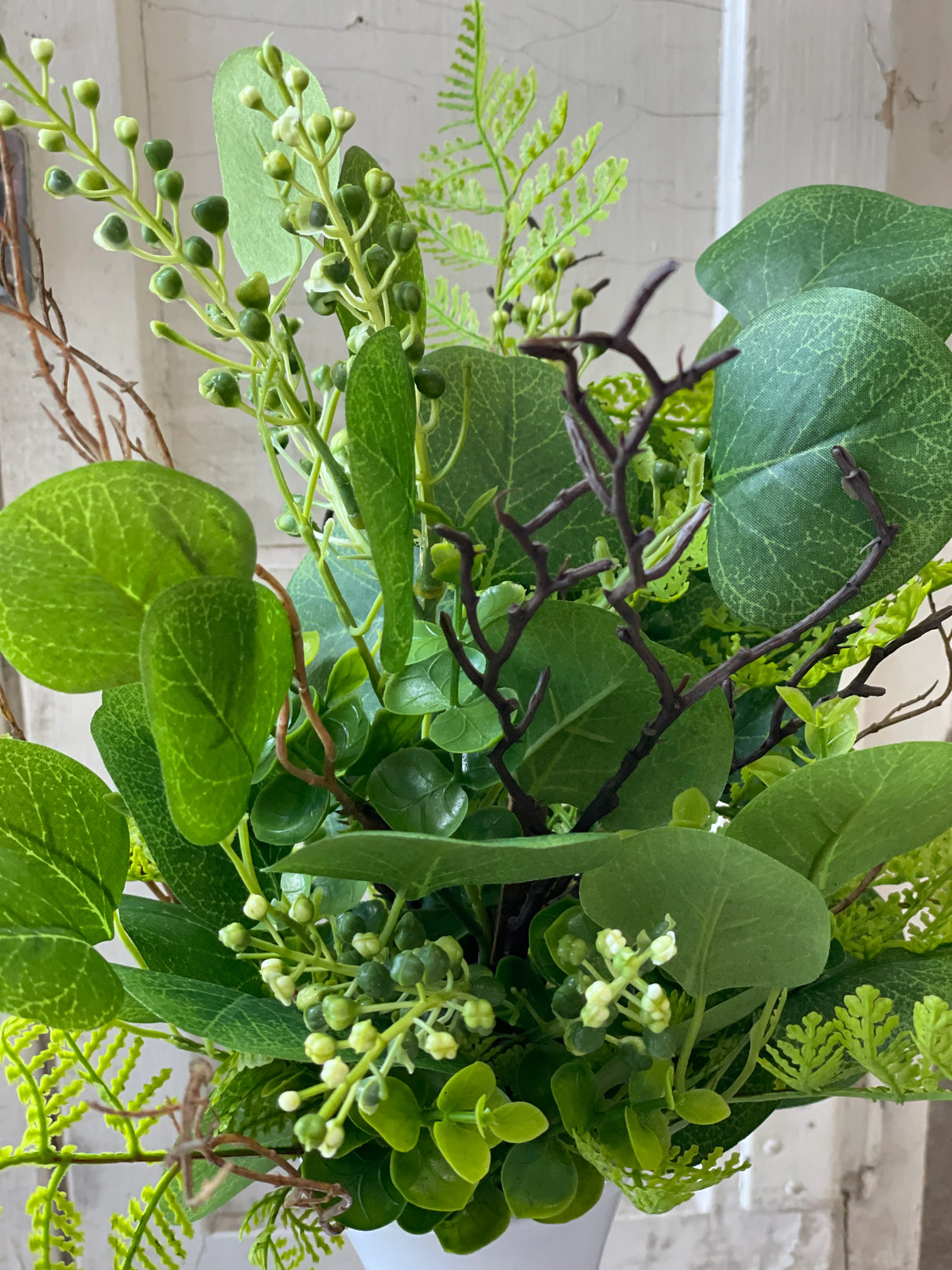 Carlisle Eucalyptus Bush