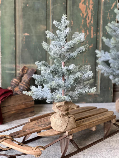 24" Frosted Finland Pine Tree