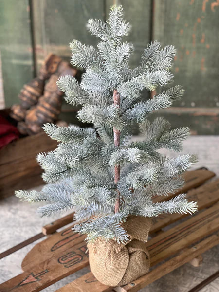 24" Frosted Finland Pine Tree