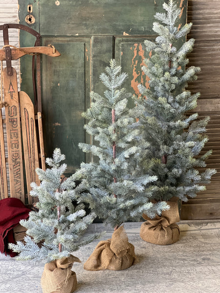 36" Frosted Finland Pine Tree