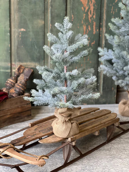 24" Frosted Finland Pine Tree