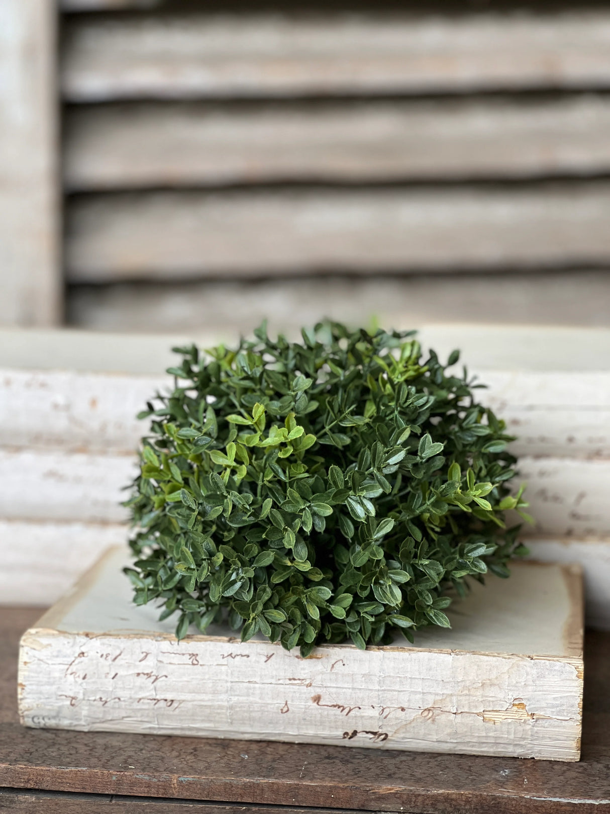 New England Boxwood Half Sphere