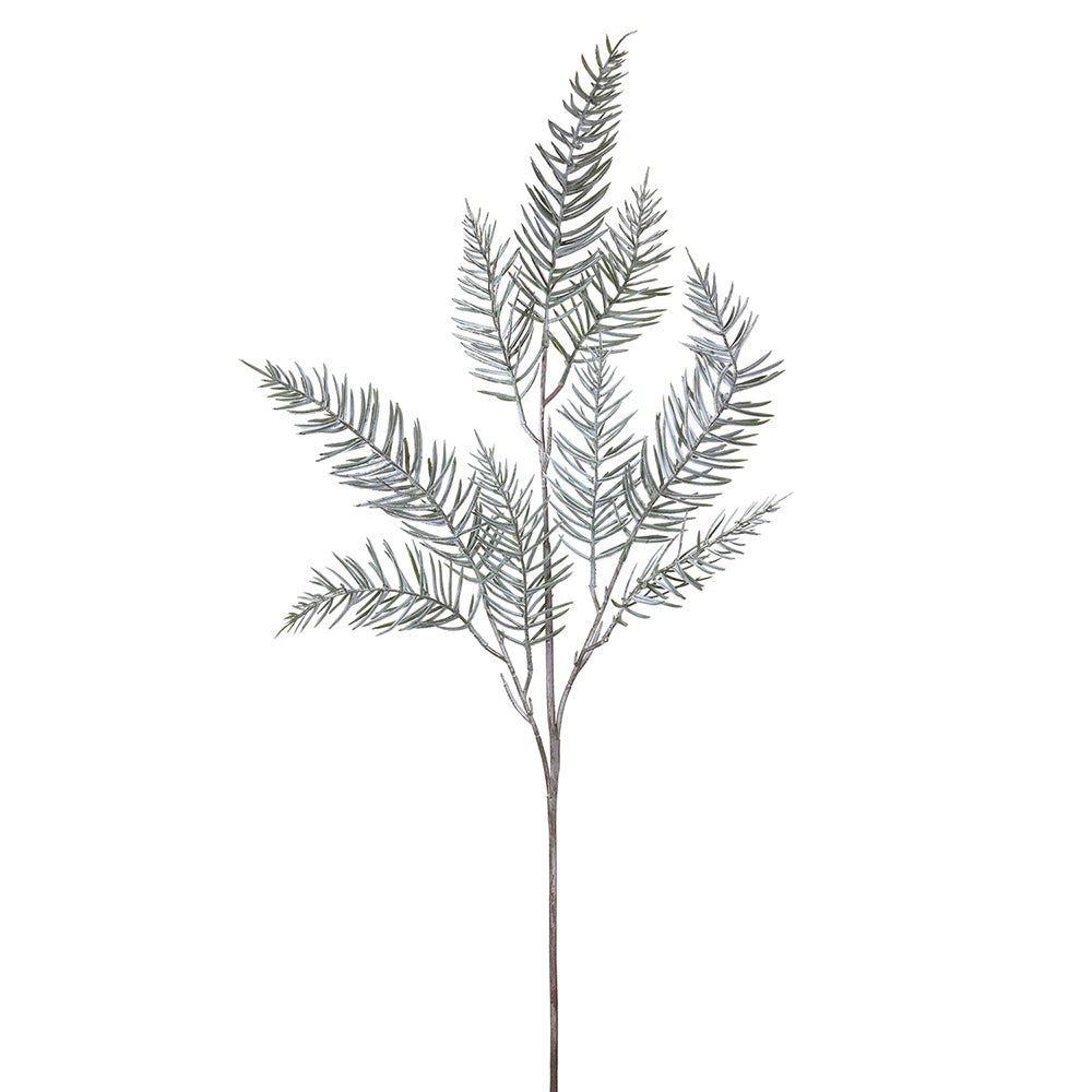 Mixed First Snow Blue Spruce Pine Spray