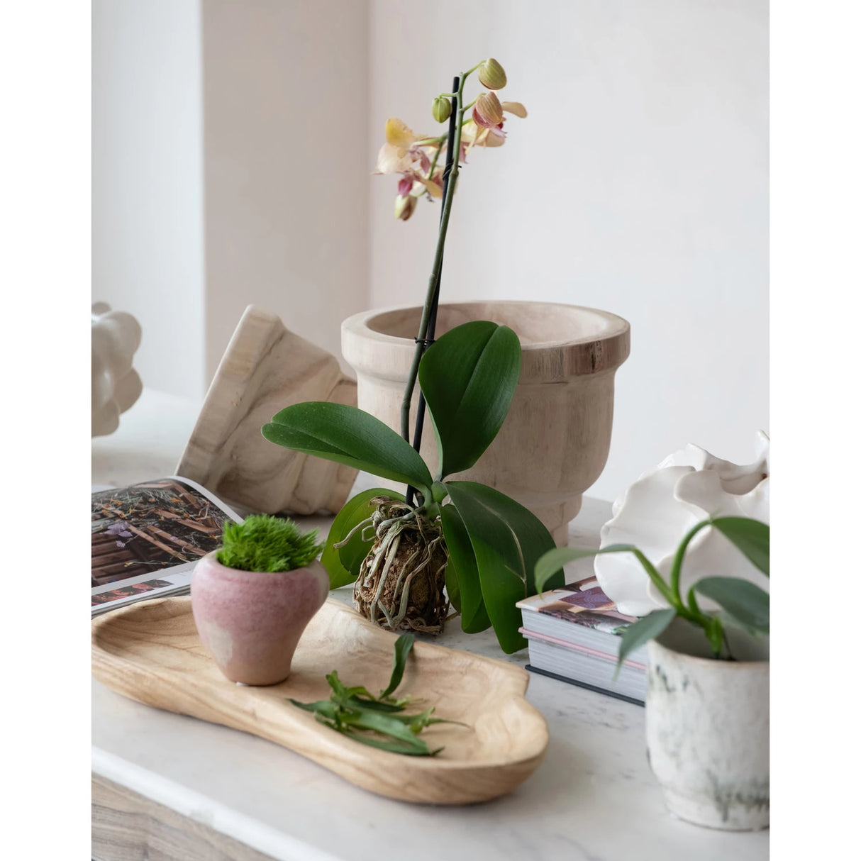 Natural Paulownia Wood Tray
