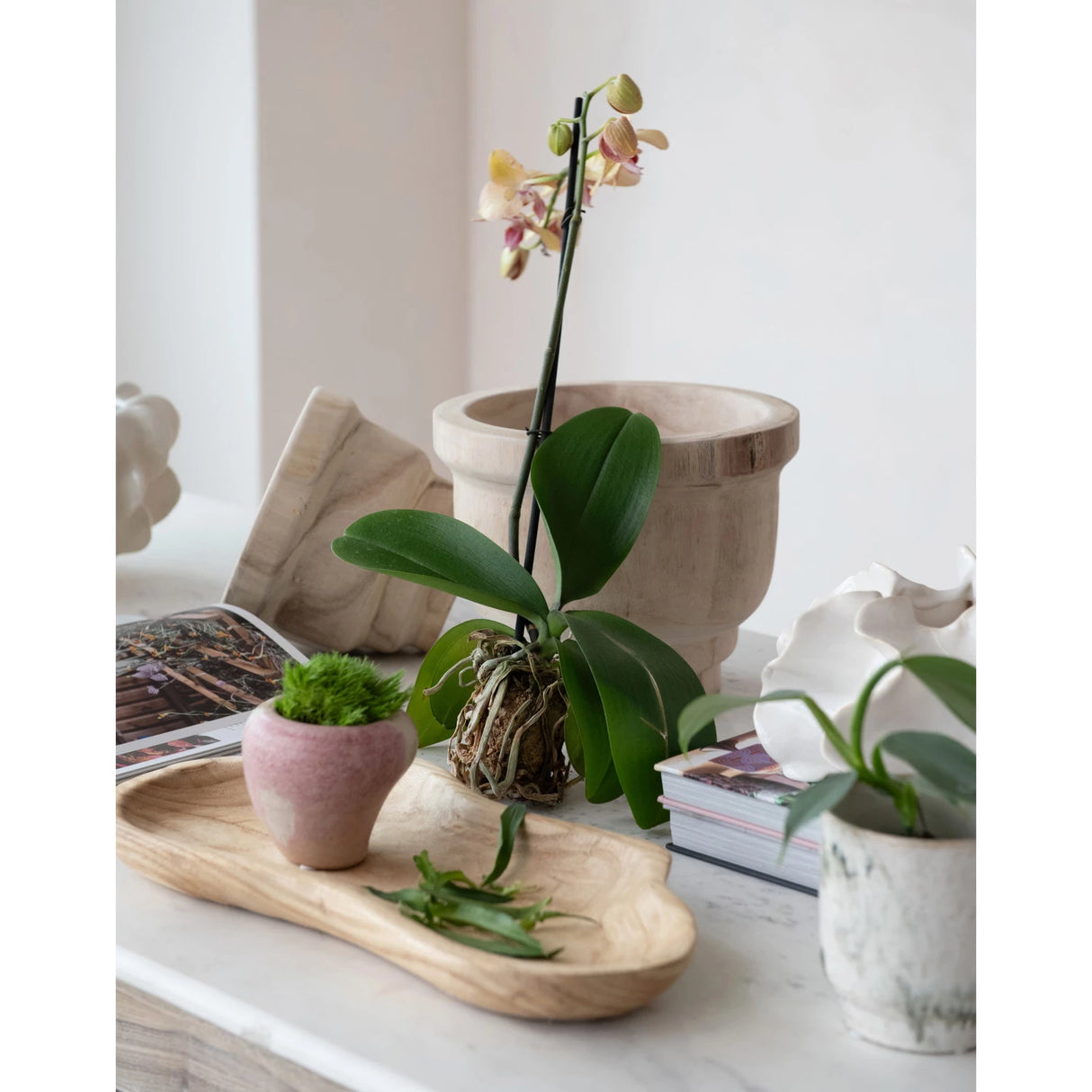Natural Paulownia Wood Tray