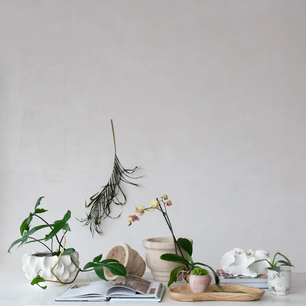 Natural Paulownia Wood Tray