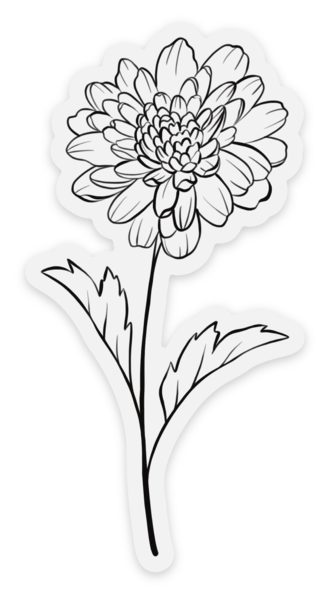 November Birth Month Flower